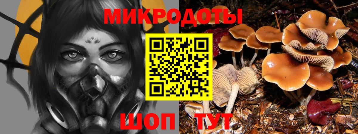 Псилоцибиновые грибы GOLDEN TEACHER  Вход с VPN  Псилоцибиновые грибы мицелий  купить наркотики цена  Лабинск 
