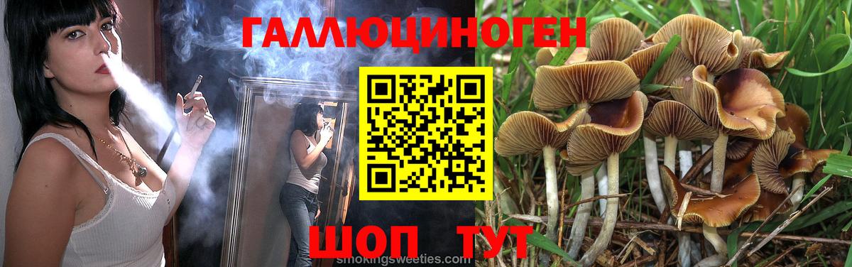 Галлюциногенные грибы Cubensis Лабинск